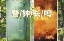 侥幸的代价——四川省森林草原火灾警示教育片