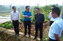 县政协领导督查重点项目推进情况