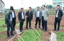 市政协来渠调研重点建设项目及联谊支乡工作