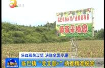 临巴镇：“党支部+”助推精准脱贫