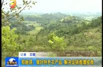 郑婉琪：做好特色农产品 解决促销难增收难