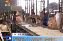 产业脱贫看水口（一）发展林木产业  生态与经济并重