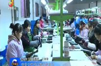 王玲玲：付出了努力  就会有收获