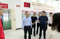 王飞虎率队调研重点项目建设