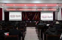 县委宣讲团到宝城镇宣讲党的二十大精神