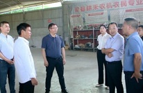 王剑调研村级劳务经济暨农业农村发展