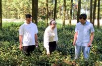 “三位一体”不断做大做强“双助”品牌