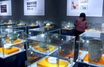网络中国节 · 春节 | 到体育馆观文物展 过文化年
