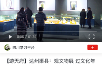学习强国聚焦 | 渠县：观文物展 过文化年