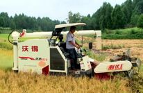 天星街道：“小粮仓”助农户科学储粮 减少产后损失