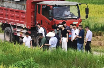 县长王飞来有庆镇军营村视察秋收作物收割情况