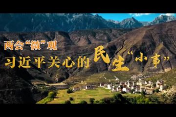 两会“微”观｜习近平关心的民生“小事”
