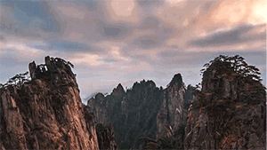 不一样的你 | “守松人”胡晓春：你扮美黄山 我守护你