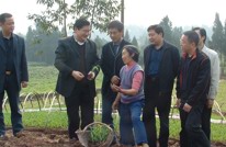 服务群众助春耕