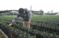 渠县建成全市第一个柑桔营养钵育苗研究与试验基地