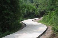 渠县村道建设“样板路”提前竣工