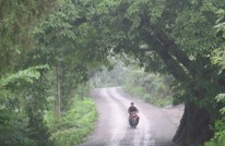 渠县农村公路建设又好又快