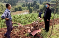 渠县文明办深入汤家村调研脱贫攻坚和春耕备耕