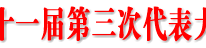中共渠县第十一届第三次代表大会隆重召开
