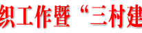 全县组织工作暨“三村建设”推进会胜利召开
