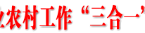 我县召开农业农村工作“三合一”现场观摩会