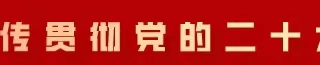 学习宣传贯彻党的二十大精神