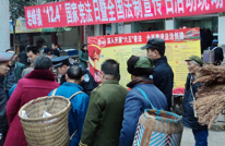 岩峰镇开展“国家宪法日”暨“全国法制宣传日”活动