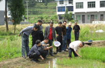 岩峰镇扎实开展稻水象甲防控工作