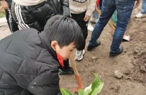 3.12植树节 三汇三小师生为美丽校园添新绿