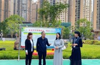 渠县第七幼儿园开展学前教育交流研讨活动