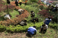 清溪中学：开展“学雷锋”拣除花园杂草志愿服务活动
