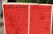 玉树灾区临不幸 有中师生献真情