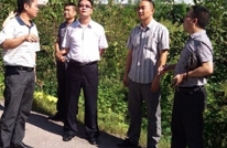 李赋情到巨光乡调研铁路沿线农房风貌塑造工作