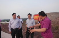 陈中华来岩峰镇指导抗旱救灾工作