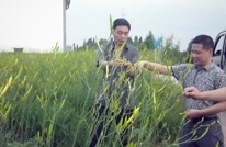 助农解忧，情暖“民心”——屏西乡“两项活动”开展纪实