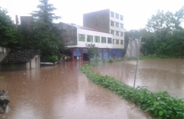 安北乡全方位行动抗击洪灾