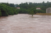 岩峰镇积极抗洪救灾