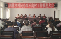 鹤林乡召开村居民办事不出村工作推进大会