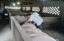 有庆片区稳步推进重大动物疫病秋季防控工作