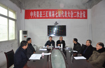 中国共产党渠县三汇镇第七届代表大会第二次会议召开