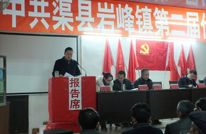 岩峰镇召开2014年党代会年会