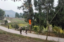 万寿乡：心系群众除马蜂 排忧解难得民心