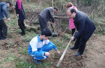 龙潭乡开展全民义务植树活动