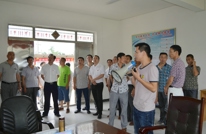 涌兴镇扎实推进村基层党建工作