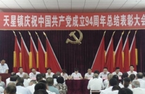 天星镇召开庆祝建党94周年暨“七一”表彰大会
