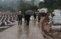 双土乡多举措强化城乡环境综合治理工作