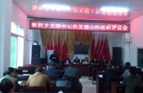 板桥乡召开支部书记抓党建工作述职评议会议