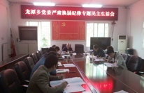 龙潭乡召开严肃换届纪律专题民主生活会