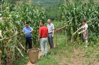 大义乡财政所精准扶贫措施得力