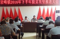 岩峰镇召开脱贫攻坚推进会